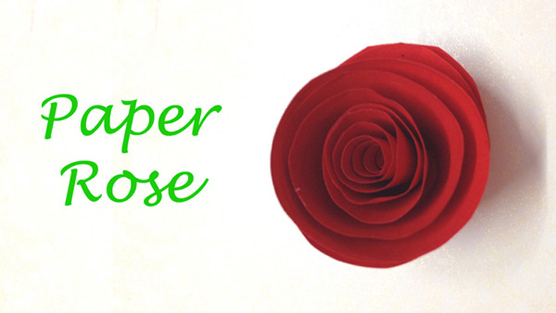 Paper Flower Rose